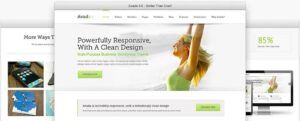 browsers Herschel Systems Limited