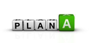 Plan the work Herschel Systems Limited