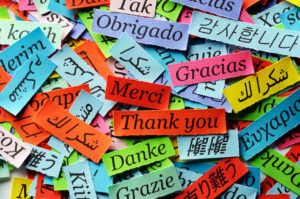 Thank you many times. Herschel Systems Limited
